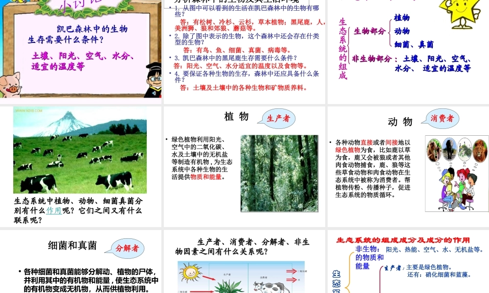 八年级生物下册 23.2 生态系统概述课件 北师大版-北师大版初中八年级下册生物课件