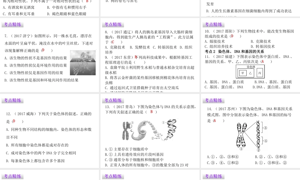 八年级生物下册 7.2生物的遗传与变异章末总结课件 （新版）新人教版-（新版）新人教版初中八年级下册生物课件
