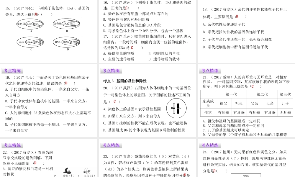 八年级生物下册 7.2生物的遗传与变异章末总结课件 （新版）新人教版-（新版）新人教版初中八年级下册生物课件