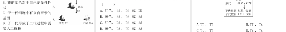 八年级生物下册 7.2生物的遗传与变异章末总结课件 （新版）新人教版-（新版）新人教版初中八年级下册生物课件