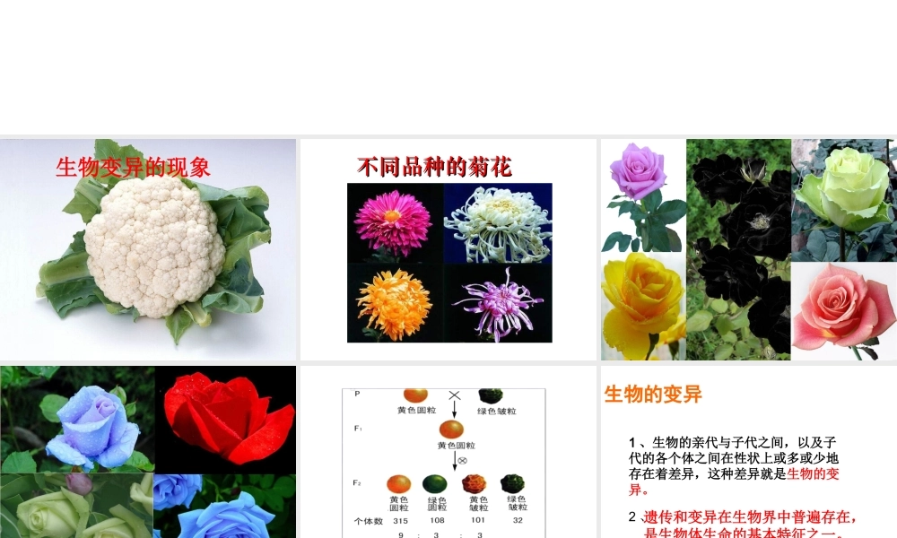 八年级生物下册 21.2 生物的变异课件1 苏科版-苏科版初中八年级下册生物课件