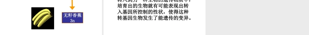 八年级生物下册 21.2 生物的变异课件1 苏科版-苏科版初中八年级下册生物课件
