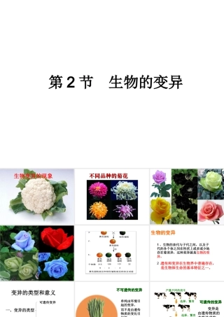 八年级生物下册 21.2 生物的变异课件1 苏科版-苏科版初中八年级下册生物课件