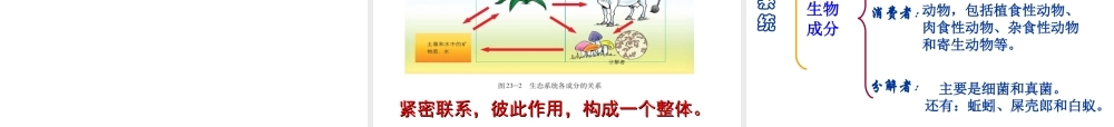 八年级生物下册 23.2 生态系统概述课件 北师大版-北师大级下册生物课件