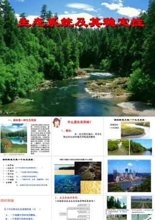 八年级生物下册 23.2 生态系统概述课件 北师大版-北师大级下册生物课件