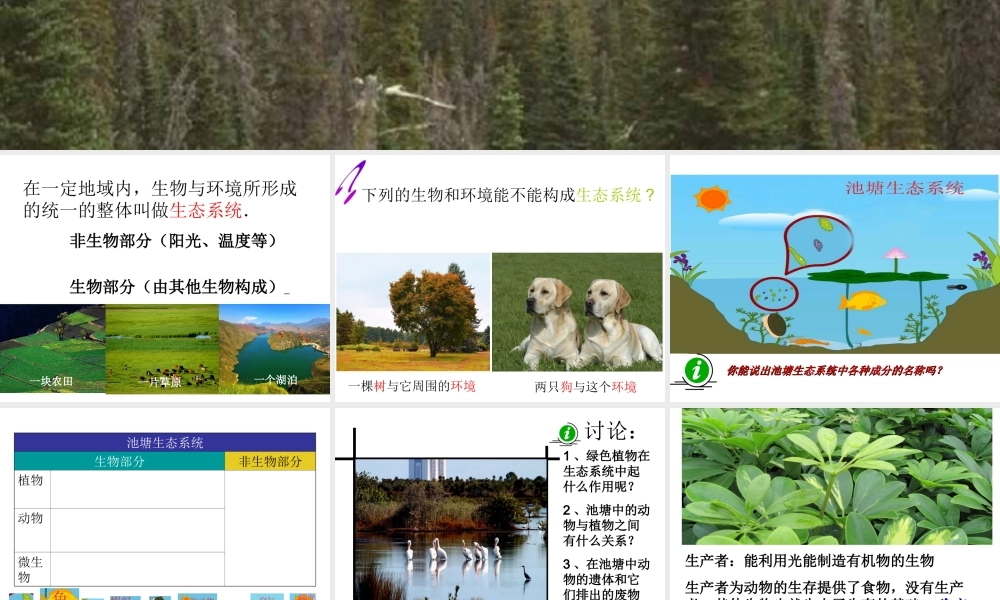 八年级生物下册 7.2.1 生态系统的组成和类型课件 冀教版-冀教级下册生物课件