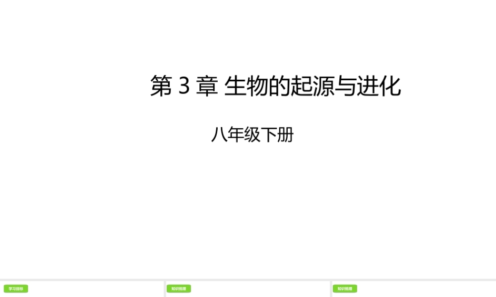 八年级生物下册 6.3 生生物的起源与进化课件 （新版）冀教版-（新版）冀教版初中八年级下册生物课件
