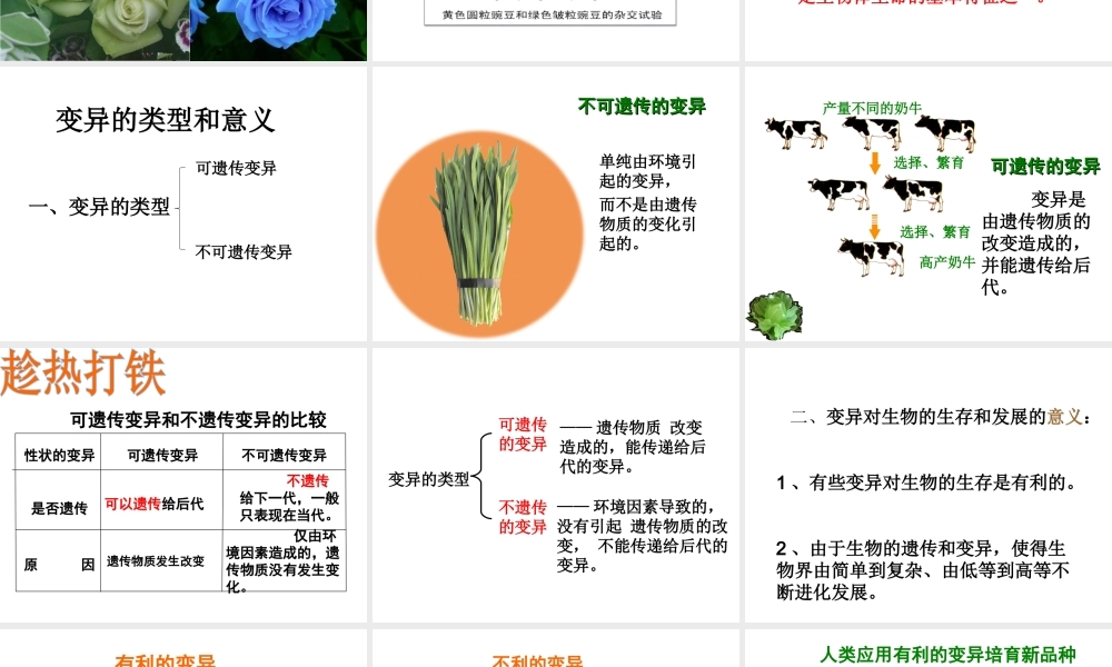八年级生物下册 21.2 生物的变异课件1 苏科版-苏科级下册生物课件
