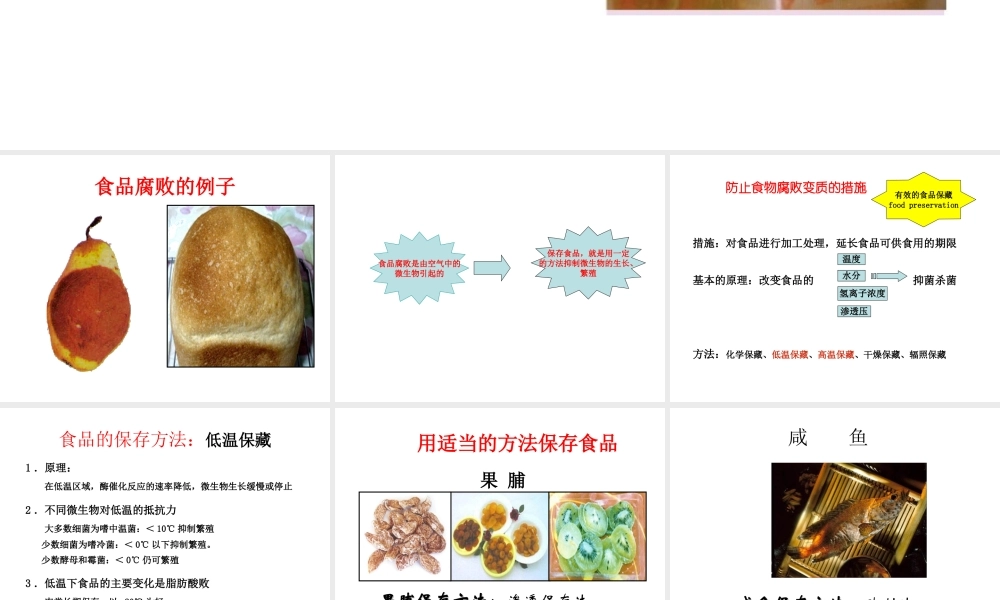 八年级生物下册 23.2 食品保存课件 （新版）苏教版-（新版）苏教级下册生物课件