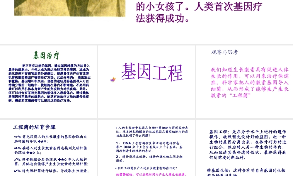 八年级生物下册 7.2.1《基因工程》课件 济南版