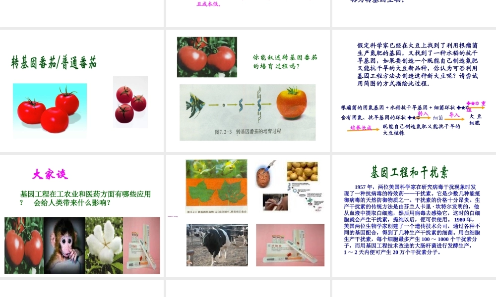 八年级生物下册 7.2.1《基因工程》课件 济南版