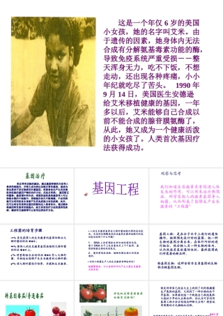 八年级生物下册 7.2.1《基因工程》课件 济南版