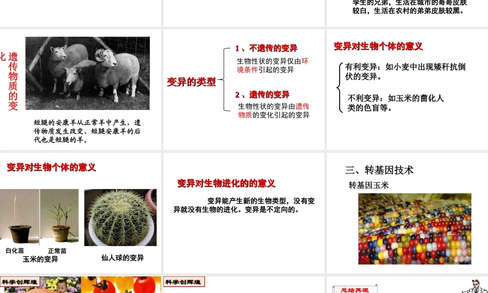 八年级生物下册 21.2 生物的变异课件2 苏科版-苏科级下册生物课件