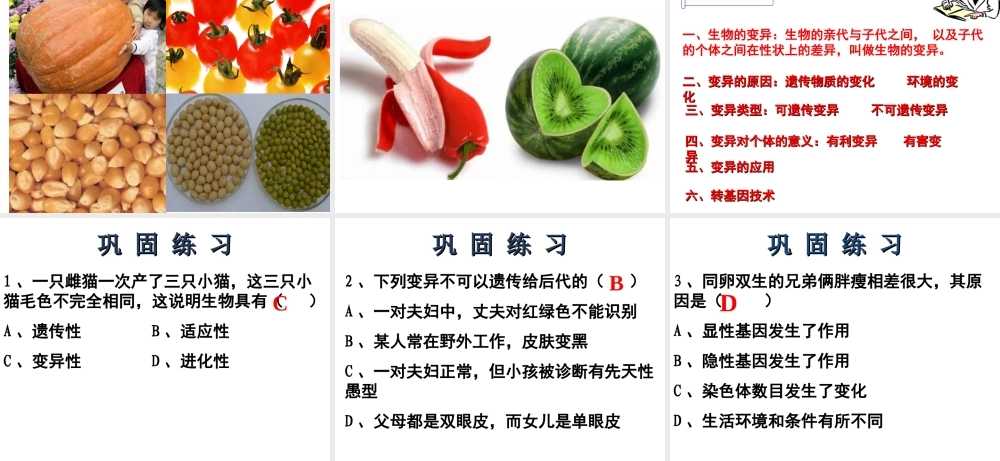 八年级生物下册 21.2 生物的变异课件2 苏科版-苏科级下册生物课件