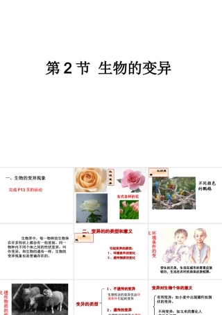 八年级生物下册 21.2 生物的变异课件2 苏科版-苏科级下册生物课件