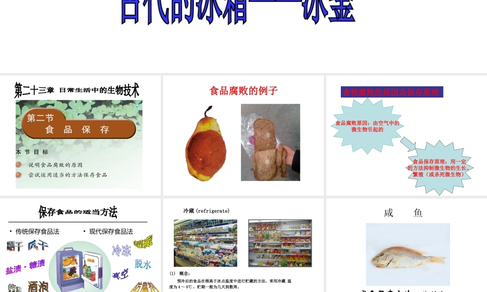 八年级生物下册 23.2 食品保存课件 苏教版