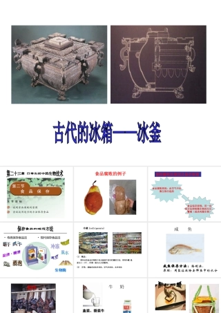 八年级生物下册 23.2 食品保存课件 苏教版