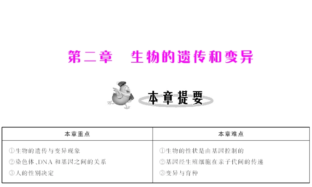 八年级生物下册 7.2.1《基因控制生物的性状》配套课件 人教新课标版