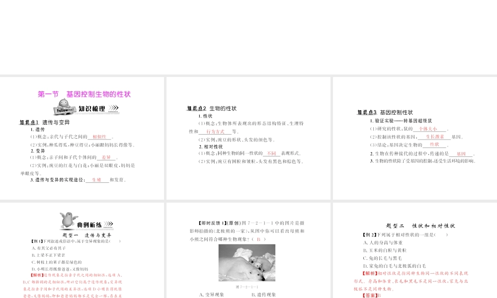 八年级生物下册 7.2.1《基因控制生物的性状》配套课件 人教新课标版