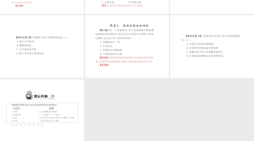 八年级生物下册 7.2.1《基因控制生物的性状》配套课件 人教新课标版