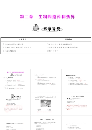 八年级生物下册 7.2.1《基因控制生物的性状》配套课件 人教新课标版