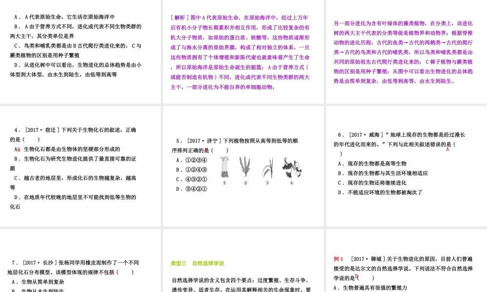八年级生物下册 7.3 生命的起源和生物进化总结提升(三)课件 （新版）新人教版-（新版）新人教版初中八年级下册生物课件