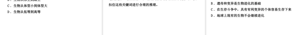八年级生物下册 7.3 生命的起源和生物进化总结提升(三)课件 （新版）新人教版-（新版）新人教版初中八年级下册生物课件
