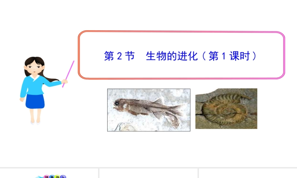 八年级生物下册 21.2 生物的进化（第1课时）课件 （新版）北师大版-（新版）北师大版初中八年级下册生物课件