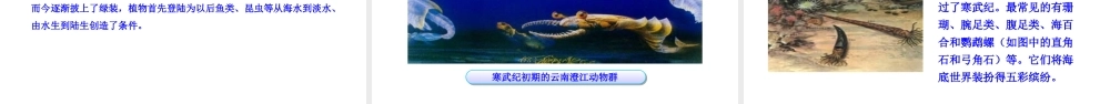 八年级生物下册 21.2 生物的进化（第1课时）课件 （新版）北师大版-（新版）北师大版初中八年级下册生物课件