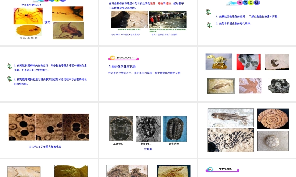 八年级生物下册 21.2 生物的进化（第1课时）课件 （新版）北师大版-（新版）北师大级下册生物课件