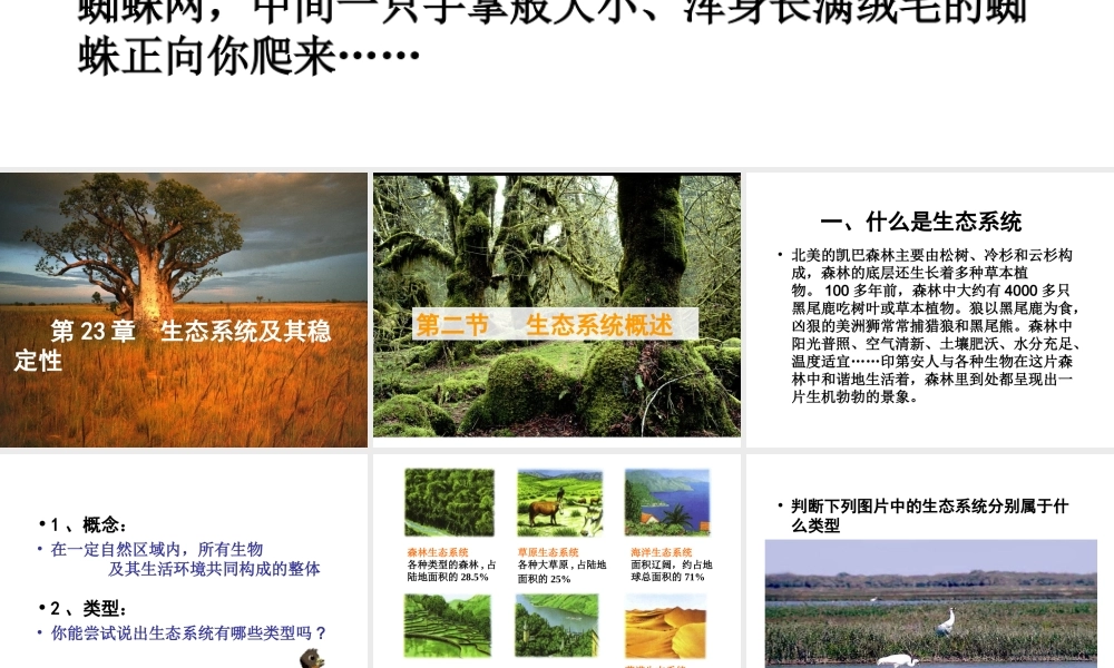 八年级生物下册 23.2《生态系统概述》课件 （新版）北师大版-（新版）北师大版初中八年级下册生物课件