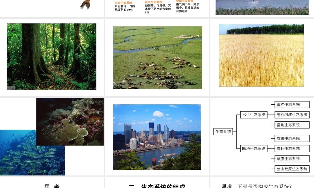 八年级生物下册 23.2《生态系统概述》课件 （新版）北师大版-（新版）北师大版初中八年级下册生物课件