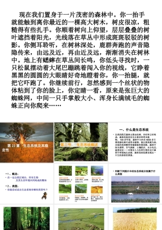 八年级生物下册 23.2《生态系统概述》课件 （新版）北师大版-（新版）北师大版初中八年级下册生物课件