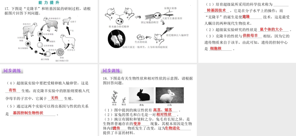 八年级生物下册 7.2.1基因控制生物的性状课件（新版）新人教版-（新版）新人教级下册生物课件