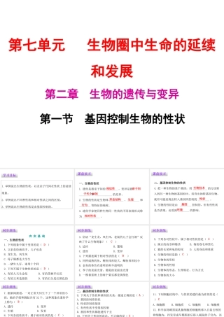 八年级生物下册 7.2.1基因控制生物的性状课件（新版）新人教版-（新版）新人教级下册生物课件