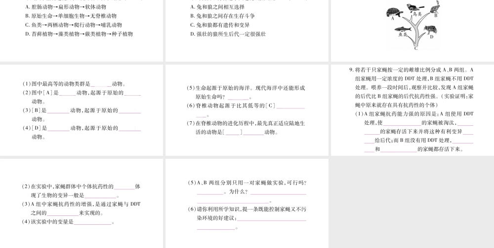 八年级生物下册 7.3 生命起源和生物进化单元归纳提升课件 （新版）新人教版-（新版）新人教版初中八年级下册生物课件