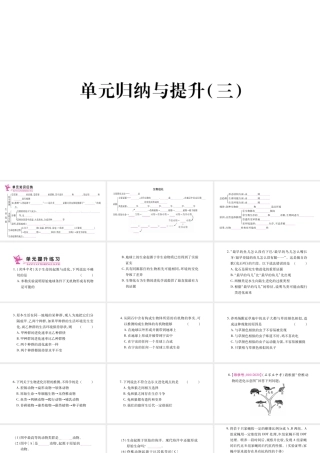 八年级生物下册 7.3 生命起源和生物进化单元归纳提升课件 （新版）新人教版-（新版）新人教版初中八年级下册生物课件