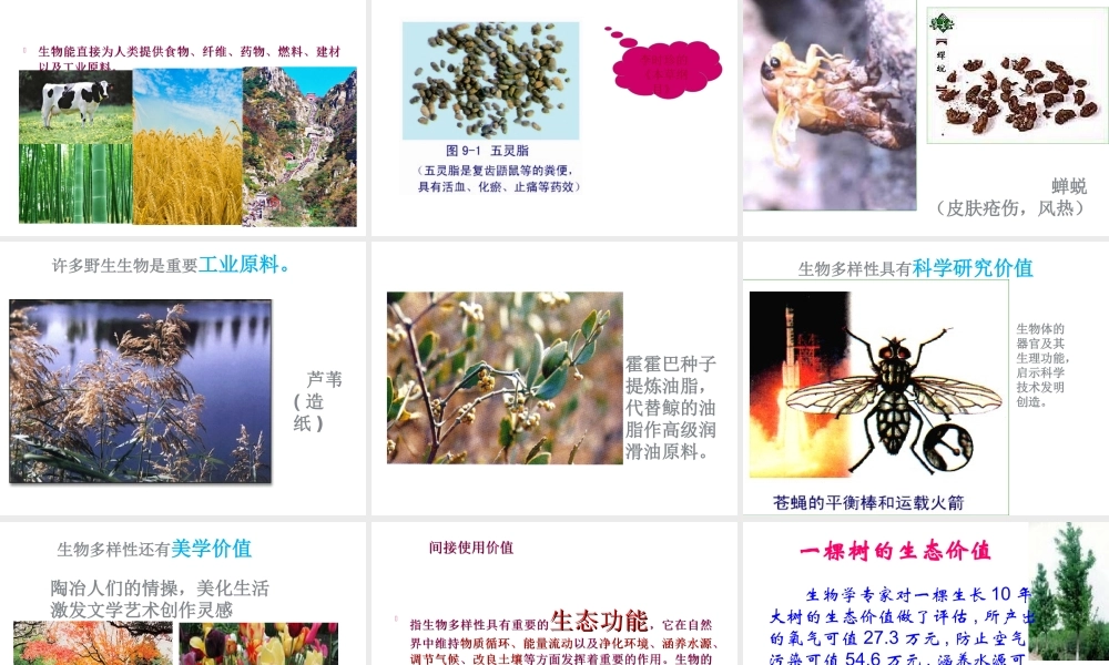 八年级生物下册 6.3.1 生物多样性课件 （新版）济南版-（新版）济南版初中八年级下册生物课件