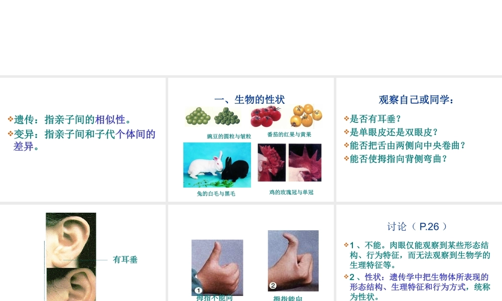 八年级生物下册 7.2.1基因控制生物的性状课件1 （新版）新人教版-（新版）新人教版初中八年级下册生物课件