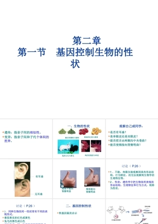 八年级生物下册 7.2.1基因控制生物的性状课件1 （新版）新人教版-（新版）新人教版初中八年级下册生物课件