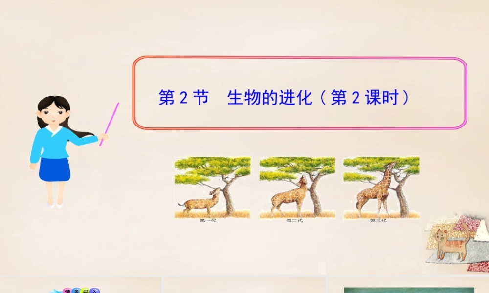 八年级生物下册 21.2 生物的进化（第2课时）课件 （新版）北师大版-（新版）北师大级下册生物课件
