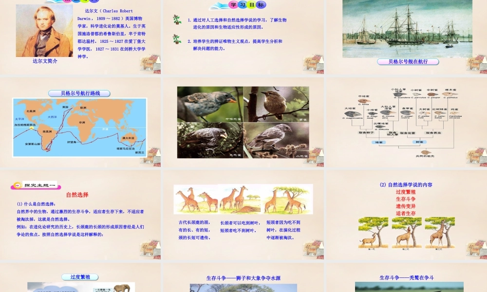 八年级生物下册 21.2 生物的进化（第2课时）课件 （新版）北师大版-（新版）北师大级下册生物课件