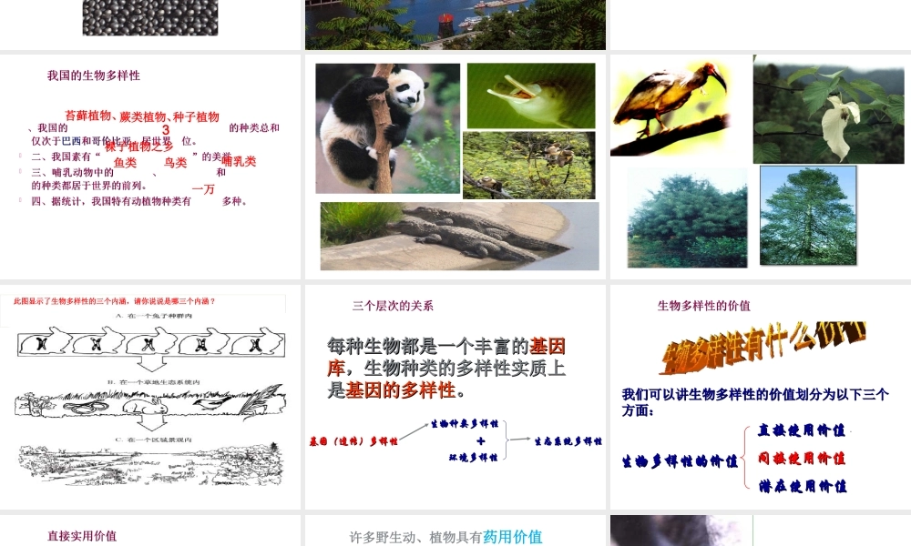 八年级生物下册 6.3.1 生物多样性课件 （新版）济南版-（新版）济南级下册生物课件