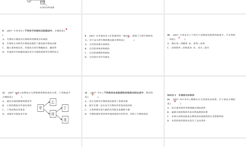 八年级生物下册 7.3 生命起源和生物进化考点突破课件 （新版）新人教版-（新版）新人教版初中八年级下册生物课件