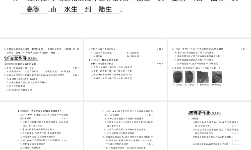 八年级生物下册 21.2 生物的进化课件 （新版）北师大版-（新版）北师大版初中八年级下册生物课件