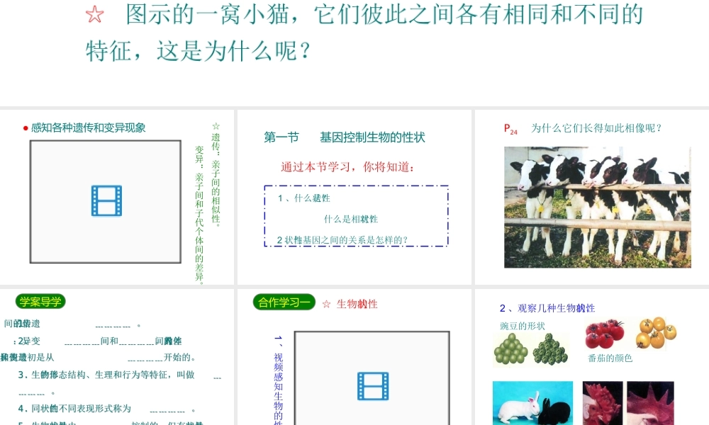 八年级生物下册 7.2.1基因控制生物的性状课件2 （新版）新人教版-（新版）新人教版初中八年级下册生物课件