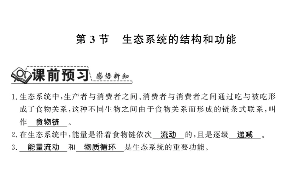 八年级生物下册 23.3 生态系统的结构和功能课件 （新版）北师大版-（新版）北师大版初中八年级下册生物课件