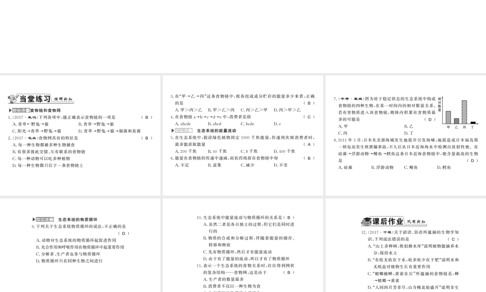 八年级生物下册 23.3 生态系统的结构和功能课件 （新版）北师大版-（新版）北师大版初中八年级下册生物课件