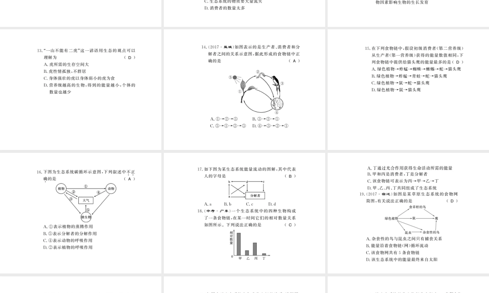 八年级生物下册 23.3 生态系统的结构和功能课件 （新版）北师大版-（新版）北师大版初中八年级下册生物课件