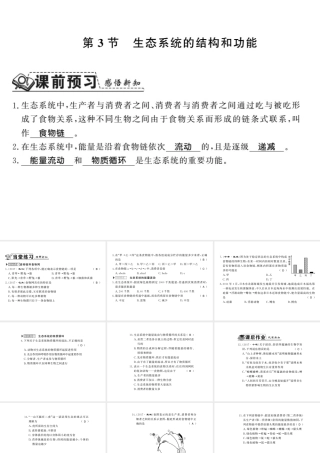 八年级生物下册 23.3 生态系统的结构和功能课件 （新版）北师大版-（新版）北师大版初中八年级下册生物课件